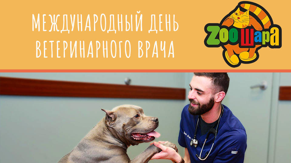 Зоошара. Поздравление с Международным днем ветеринара