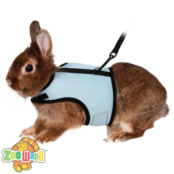 Trixie - Шлея с поводком для кролика "Soft Harness" (61513), (1111122236)