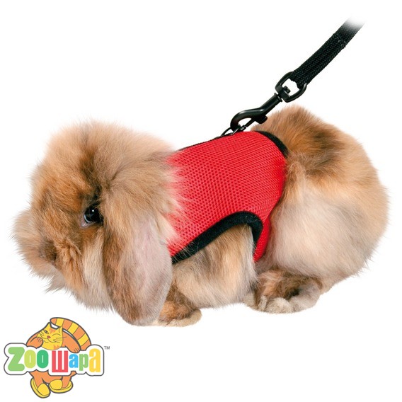 Trixie - Шлея с поводком для морских свинок "Soft Harness" (61512), (1111122235)