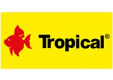 Tropical