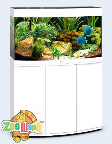 JUWEL Aquarium Аквариум VISION 180 LED белый (9450/9400СПЕЦЦЕНА), (1111137681)