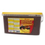 Tropical Cichlid &Arowana Medium Sticks 10L (63529), (1111132893)
