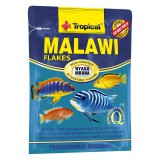 Tropical       , Malawi, 12 , 73381 (73381), (1111120739)