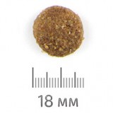 Chicopee Chicopee CNL Maxi Adult Poultry & Millet , 2  <p>        </p> -  2