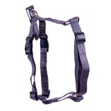 Gimpet  HARLEM H  2.5*67-90,  (080262509026), (1111163538)