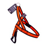 Gimpet  Alfresco Y  3.2*75 80-100,  (080323210019), (1111163545)