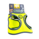 Gimpet  Alfresco  XXS 28-32,  (080332803216), (1111163546)