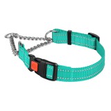 Bronzedog Ошейник для Собак Мартингейл Active Нейлоновый с Пластиковой Пряжкой и Светоотражением Бирюзовый, Размер L Обхват шеи 41-55 см. Ширина 2,5 см.