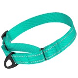 Bronzedog Ошейник для собак Мартингейл Active нейлоновый со светоотражением бирюзовый, Размер S Обхват шеи 28-38 см. Ширина 2 см.