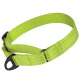 Bronzedog      Active    ,   L   41-61 .  2,5 .
