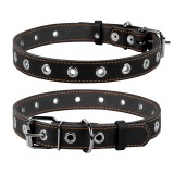 Collar     CoLLaR, , , M,  () 25,  () 60, (02441), (4820082491895)