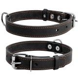 Collar     CoLLaR, , , L,  () 35,  () 47-62, (02731), (4820082491956)