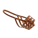 Collar    CoLLaR  5, , ,   () 11,   () 40, (06326), (2006326000005)
