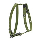 Collar  CoLLaR /         , , , (0635),  20 ,    . 55-65, (4820082492694)
