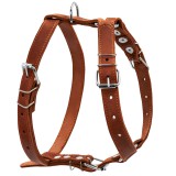 Collar Шлея одинарная CoLLaR для средних собак, коричневый, кожа, (06386), Ш 25 мм, Обхват груди см. 69-81, (4820152563156)