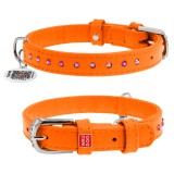 Collar     WAUDOG Glamour  QR ,   , XS,  15 ,  27-36 .  (32774) , (4823089306926)