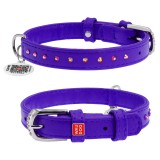 Collar     WAUDOG Glamour  QR ,   , XS,  15 ,  27-36 .  (32779) , (4823089306964)