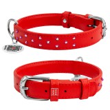 Collar     WAUDOG Glamour  QR ,   , M,  25 ,  38-49 .  (32793) , (4823089307091)