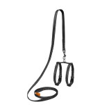 Collar     DOG Extreme      , , , (07011),  10 ,    . 12-22, (2007011000003)