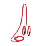 Collar     DOG Extreme      , , , (07013),  10 ,    . 12-22, (2007013000001)