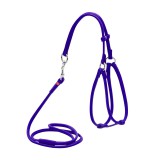Collar     WAUDOG Glamour ,        ,  6 , XS,  26-46 ,  30-50   (34019),  (4820152566010)