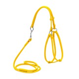 Collar     WAUDOG Glamour ,        ,  6 , XS,  42-60 ,  46-64   (34028),  (2034028000009)