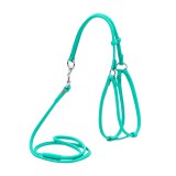 Collar     WAUDOG Glamour ,        ,  6 , XS,  42-60 ,  46-64   (340213),  (2034021300007)