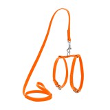 Collar     WAUDOG Glamour        ,  12 , XS,  25-33 ,  35-43   (34004),  (4820152563408)