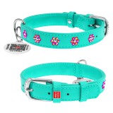 Collar     WAUDOG Glamour  QR ,    