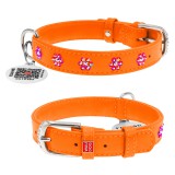 Collar     WAUDOG Glamour  QR ,    