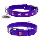 Collar     WAUDOG Glamour  QR ,    
