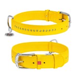 Collar Ошейник для собак кожаный WAUDOG Glamour с QR паспортом, двойной со страз, M, Ш 25 мм, Дл 38-49 см (38788), (4823089318264)