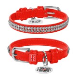 Collar     WAUDOG Glamour  QR ,   