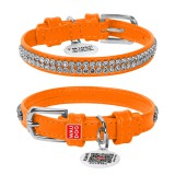 Collar     WAUDOG Glamour  QR ,   