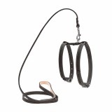 Collar  CoLLaR       (05471),  (4820082492670)
