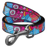 Collar     WAUDOG Nylon,  