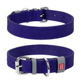 Collar     WAUDOG Classic, XS,  12 ,  19-25   (02019),  (4823089313542)