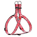 Collar     WAUDOG Nylon c QR ,  