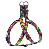 Collar     WAUDOG Nylon c QR ,  