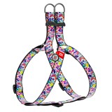 Collar Шлея для собак анатомическая WAUDOG Nylon c QR паспортом, рисунок