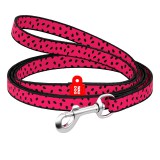 Collar     WAUDOG Nylon,  