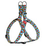 Collar     WAUDOG Nylon c QR ,  