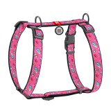 Collar     H- WAUDOG Nylon  QR-,  , L,  25 , A 50-90, B 60-100  (5549),  (4823089334714)