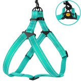 Bronzedog     Active    ,    M   45-56 .  2 .
