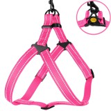 Bronzedog     Active    ,    M   45-56 .  2 .