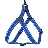 Bronzedog     Active    ,    M   45-56 .  2 . -  2