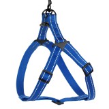 Bronzedog     Active    ,    M   45-56 .  2 . -  3