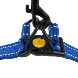 Bronzedog     Active    ,    M   45-56 .  2 . -  4