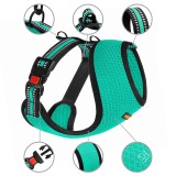 Bronzedog       Mesh ,  M   30 .   40-46 .
