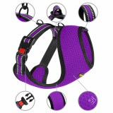 Bronzedog       Mesh ,  S   20 .   28-33 .